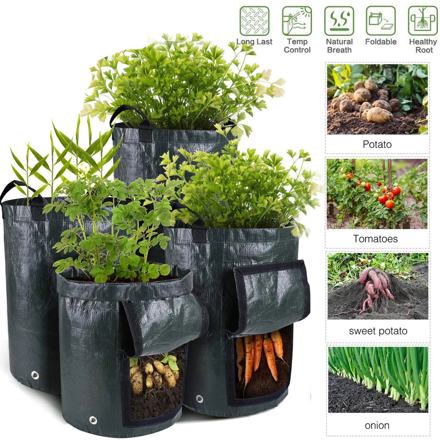 Potatoes Grow Bags 3/5/10 Gallon Gardening Plant Growing Bags for Potato Tomato Carrot & Other Vegetable Planter Container