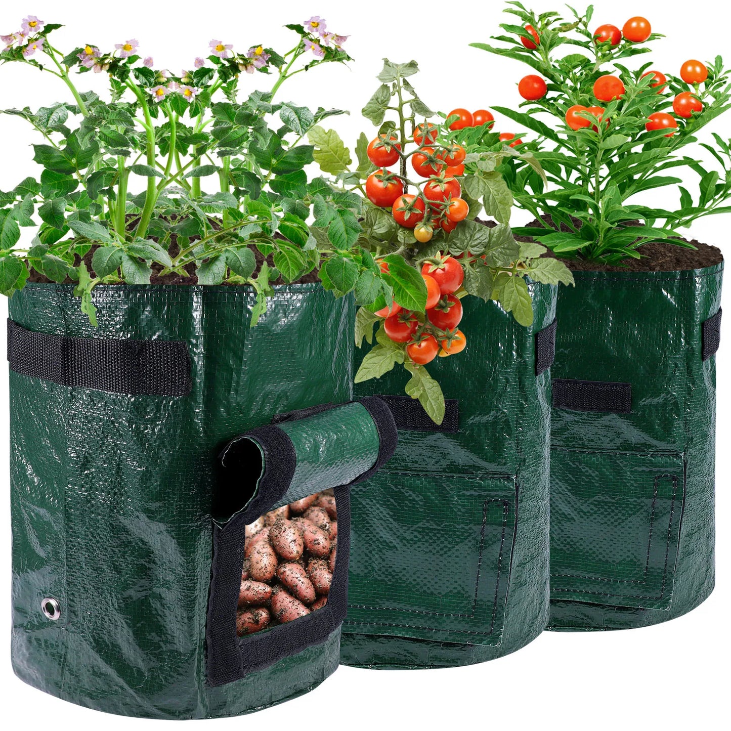 Potatoes Grow Bags 3/5/10 Gallon Gardening Plant Growing Bags for Potato Tomato Carrot & Other Vegetable Planter Container